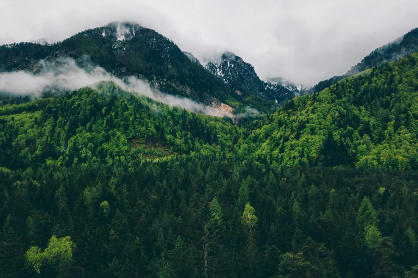Clouds drifting through green mountains in Slovenia